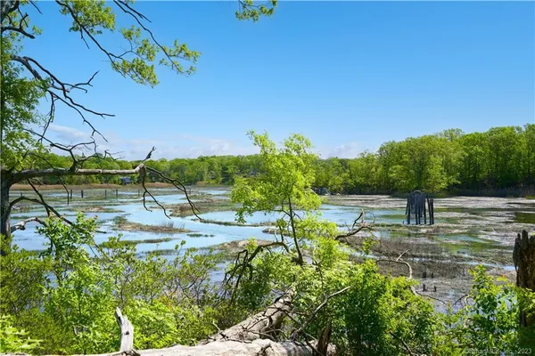a view of a lake with a house in the background