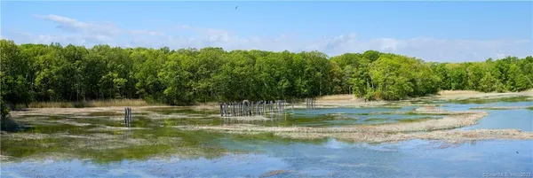 a view of a garden with trees