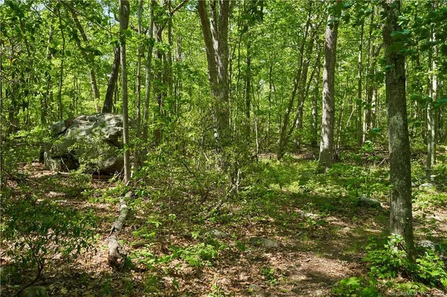 $1,900,000 | 12 Bowhay Hill Road, Branford, CT 06405