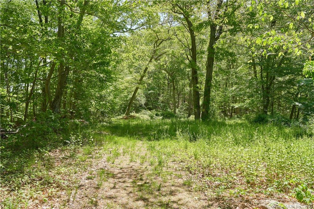 12 Bowhay Hill Road Branford, CT 06405 - Photo 20 of 40 a view of a garden