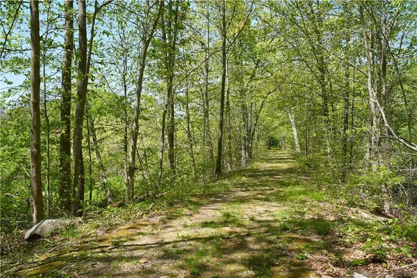 a view of outdoor space and trees