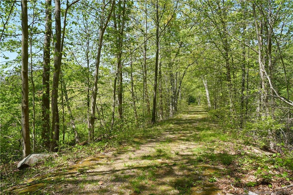 12 Bowhay Hill Road Branford, CT 06405 - Photo 21 of 40 a view of outdoor space and trees