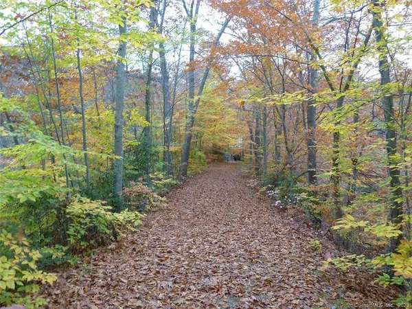 a view of a garden with trees