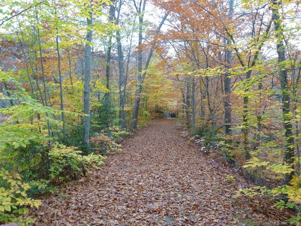 12 Bowhay Hill Road Branford, CT 06405 - Photo 22 of 40 a view of a garden with trees
