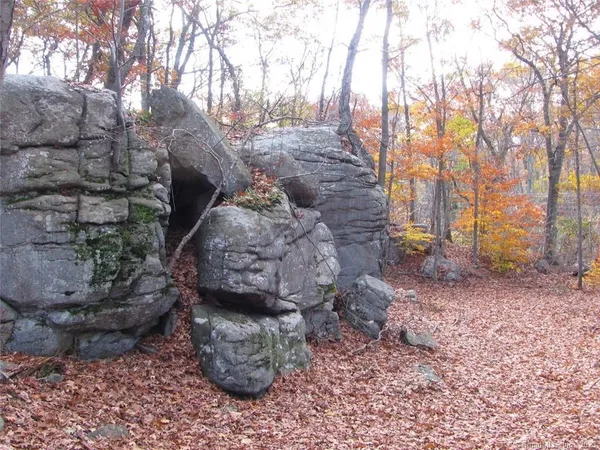 a view of fire pit with large trees