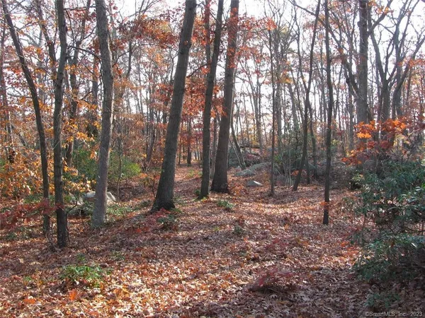 a view of outdoor space and trees