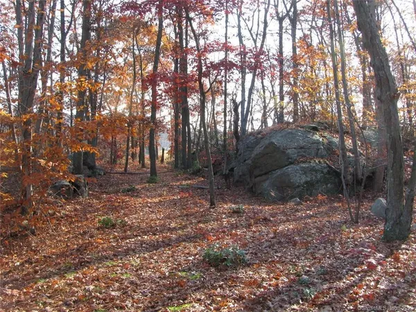 a view of outdoor space with lots of trees