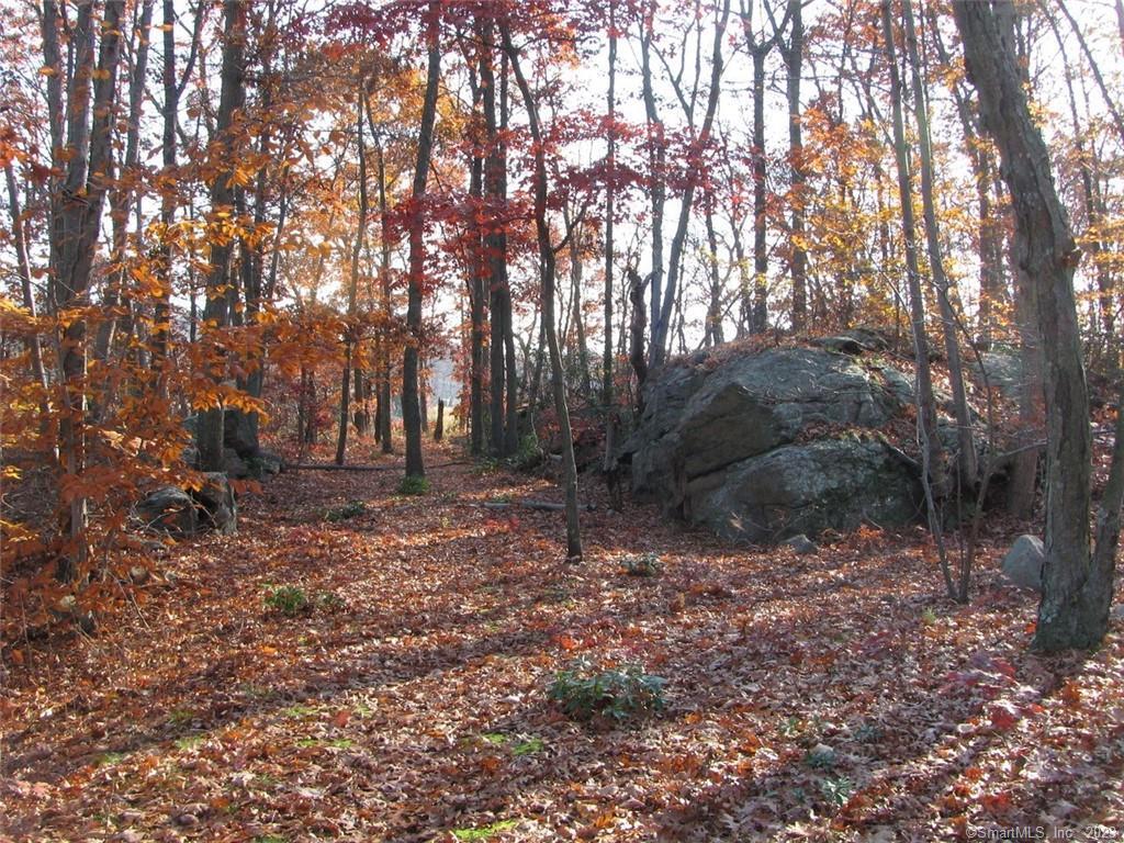 12 Bowhay Hill Road Branford, CT 06405 - Photo 30 of 40 a view of outdoor space with lots of trees