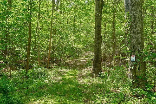 a view of outdoor space and lots of trees