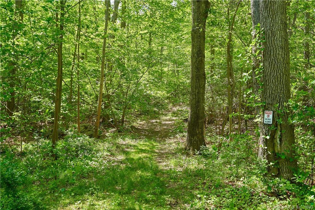 12 Bowhay Hill Road Branford, CT 06405 - Photo 34 of 40 a view of outdoor space and lots of trees
