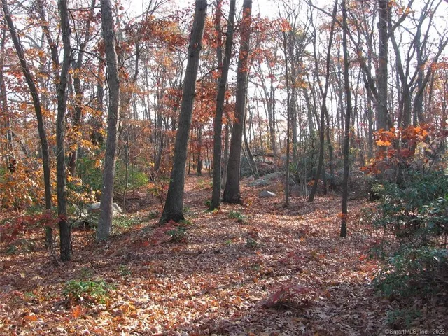 $1,900,000 | 12 Bowhay Hill Road, Branford, CT 06405