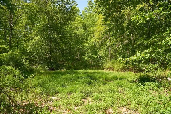 a view of a lush green space