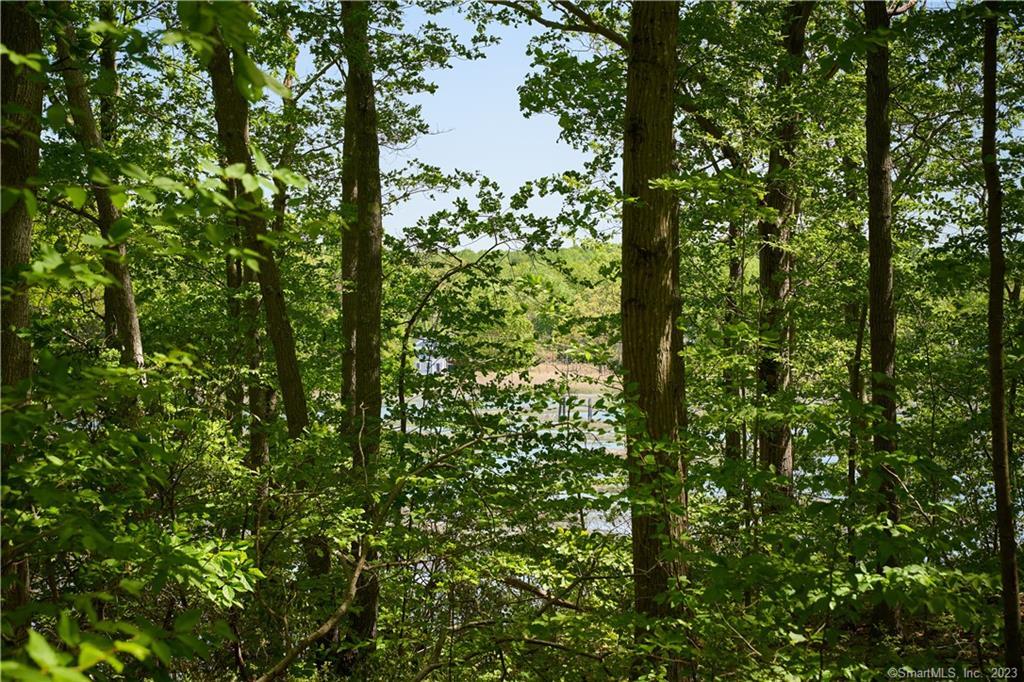 12 Bowhay Hill Road Branford, CT 06405 - Photo 36 of 40