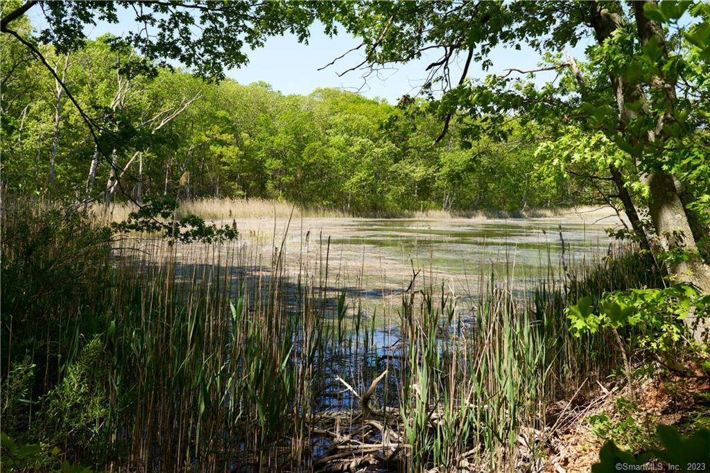 12 Bowhay Hill Road Branford, CT 06405 - Photo 40 of 40 a view of lake view