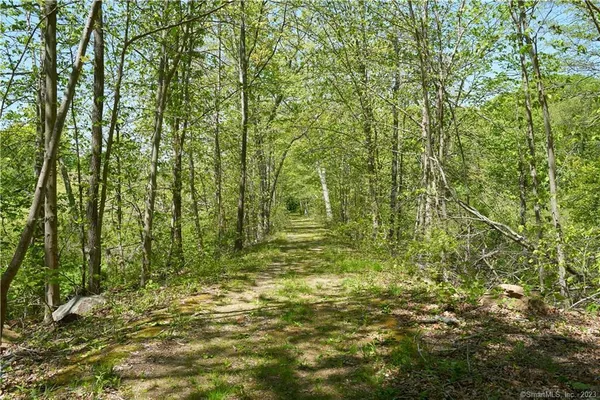 a view of a yard