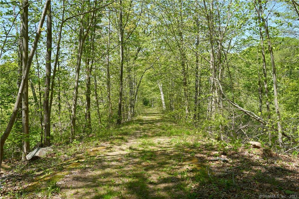 12 Bowhay Hill Road Branford, CT 06405 - Photo 7 of 40 a view of a yard