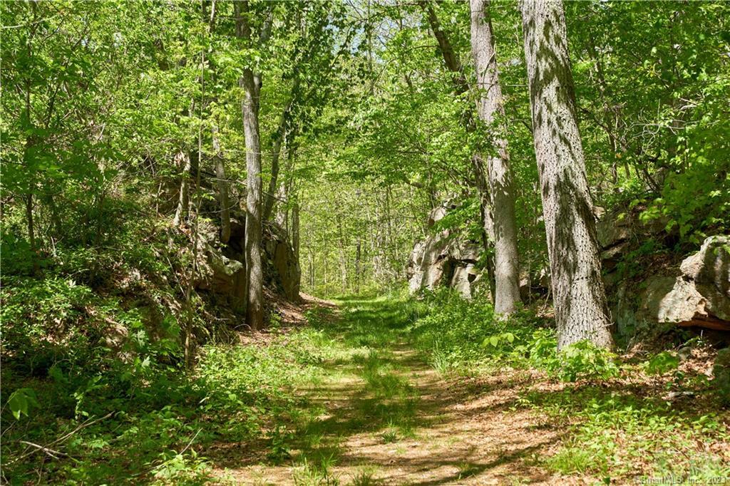 12 Bowhay Hill Road Branford, CT 06405 - Photo 8 of 40 a view of outdoor space and green space