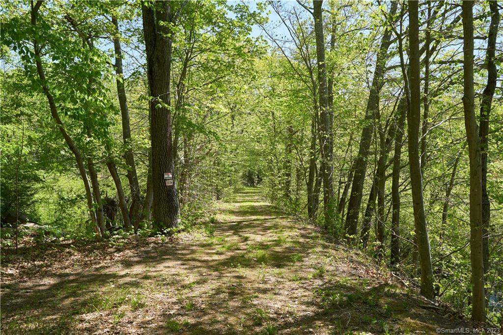 12 Bowhay Hill Road Branford, CT 06405 - Photo 10 of 40 a view of a yard with trees