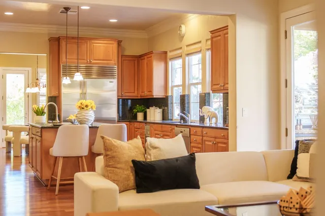 a living room with furniture and a potted plant