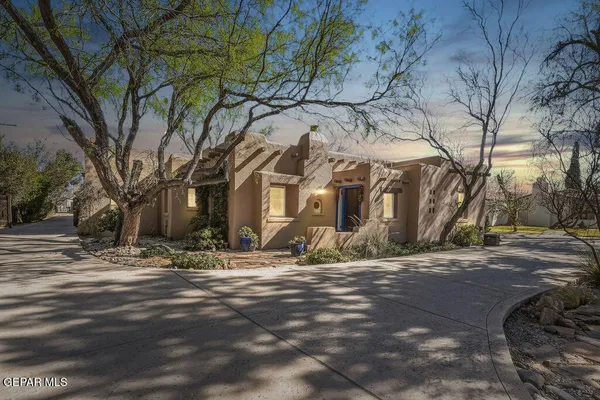 a view of road with large trees