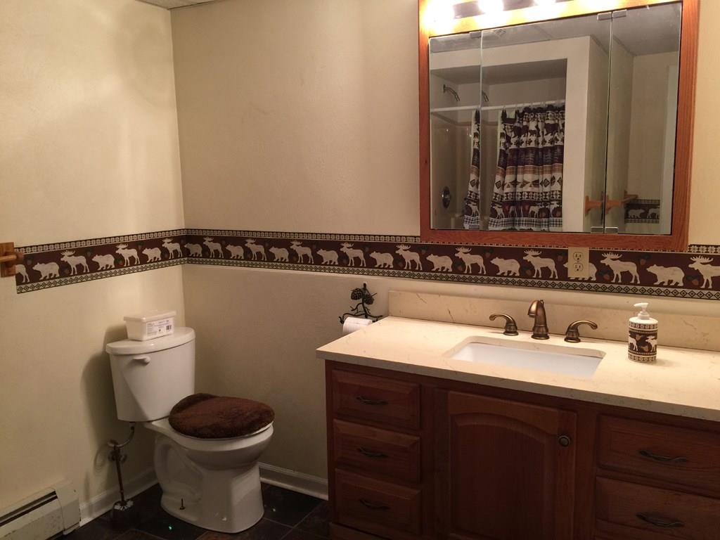 275 Lowman Road Indiana, PA 15701 - Photo 15 of 20 Full Bath