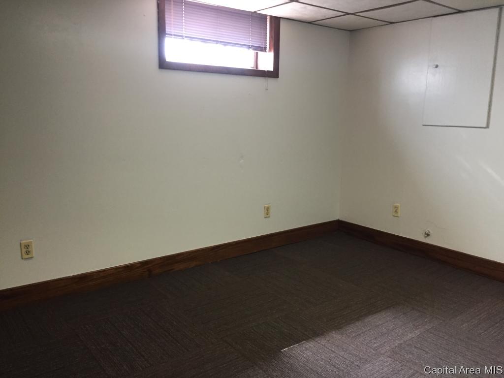 1229 North 6th Street Springfield, IL 62702 - Photo 18 of 19