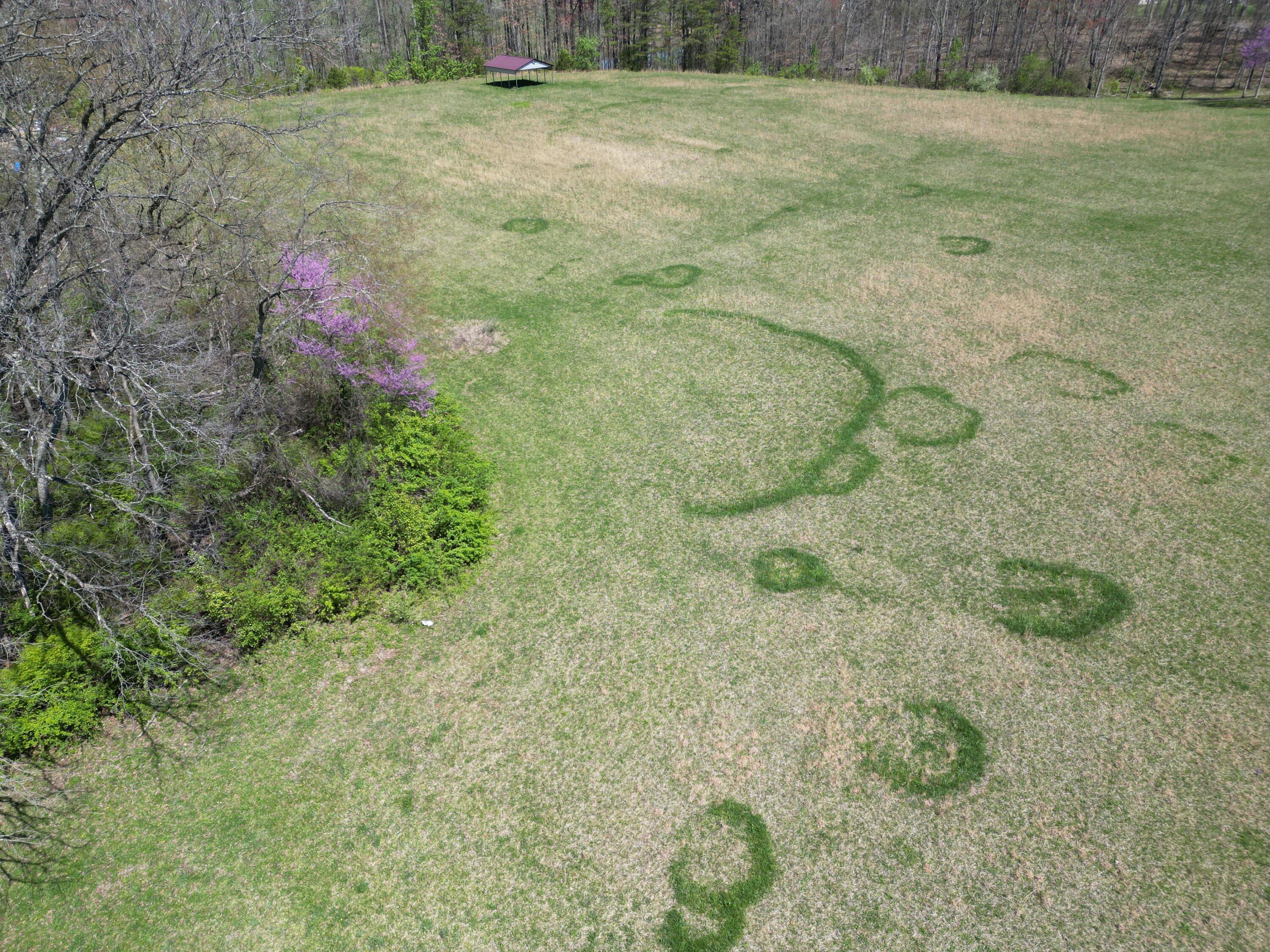 140 Wyan Road London, KY 40744 - Photo 3 of 21 DJI_0455