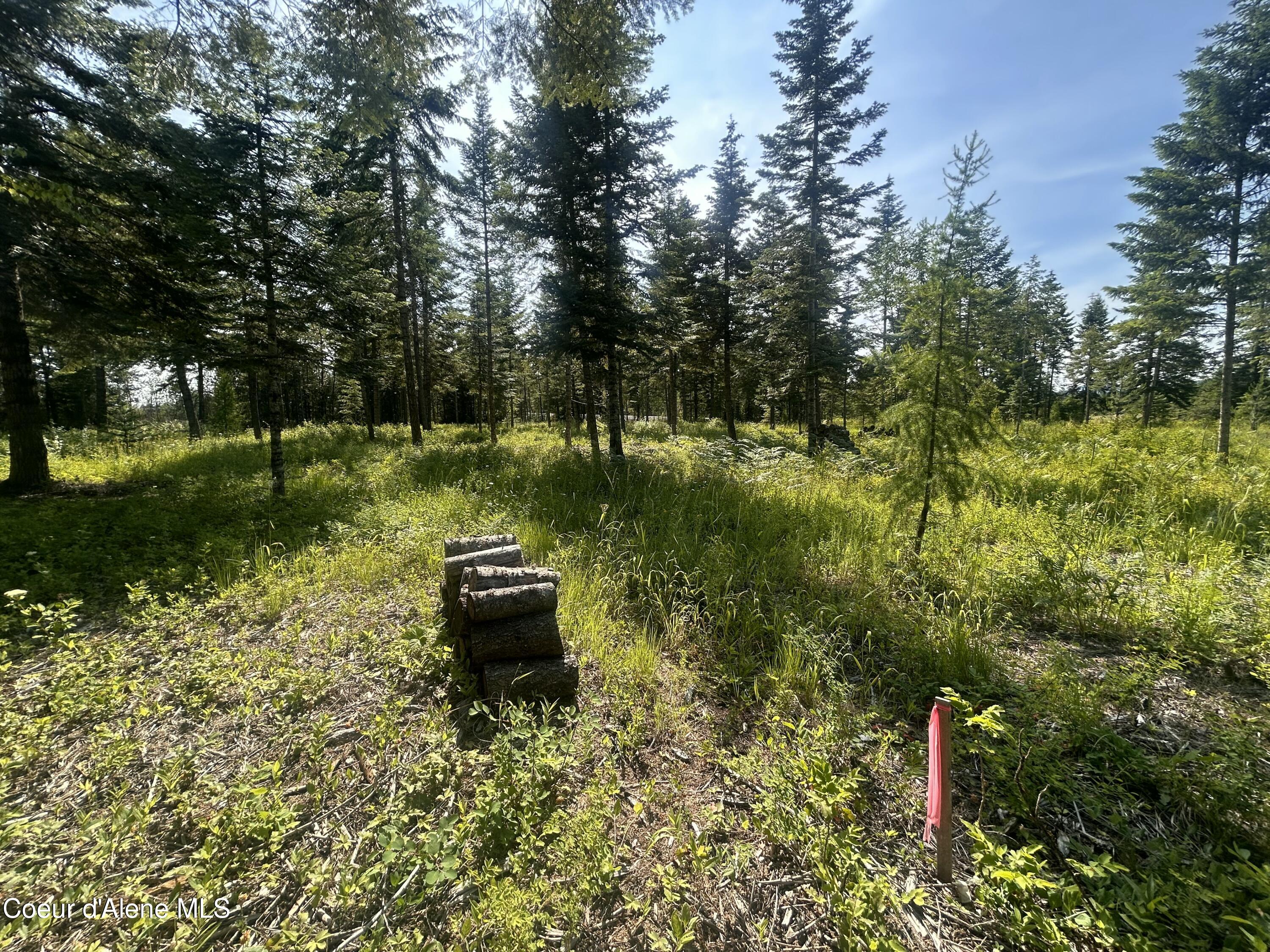 Nka Nka Lekstrum Rathdrum, ID 83858 - Photo 2 of 7 2