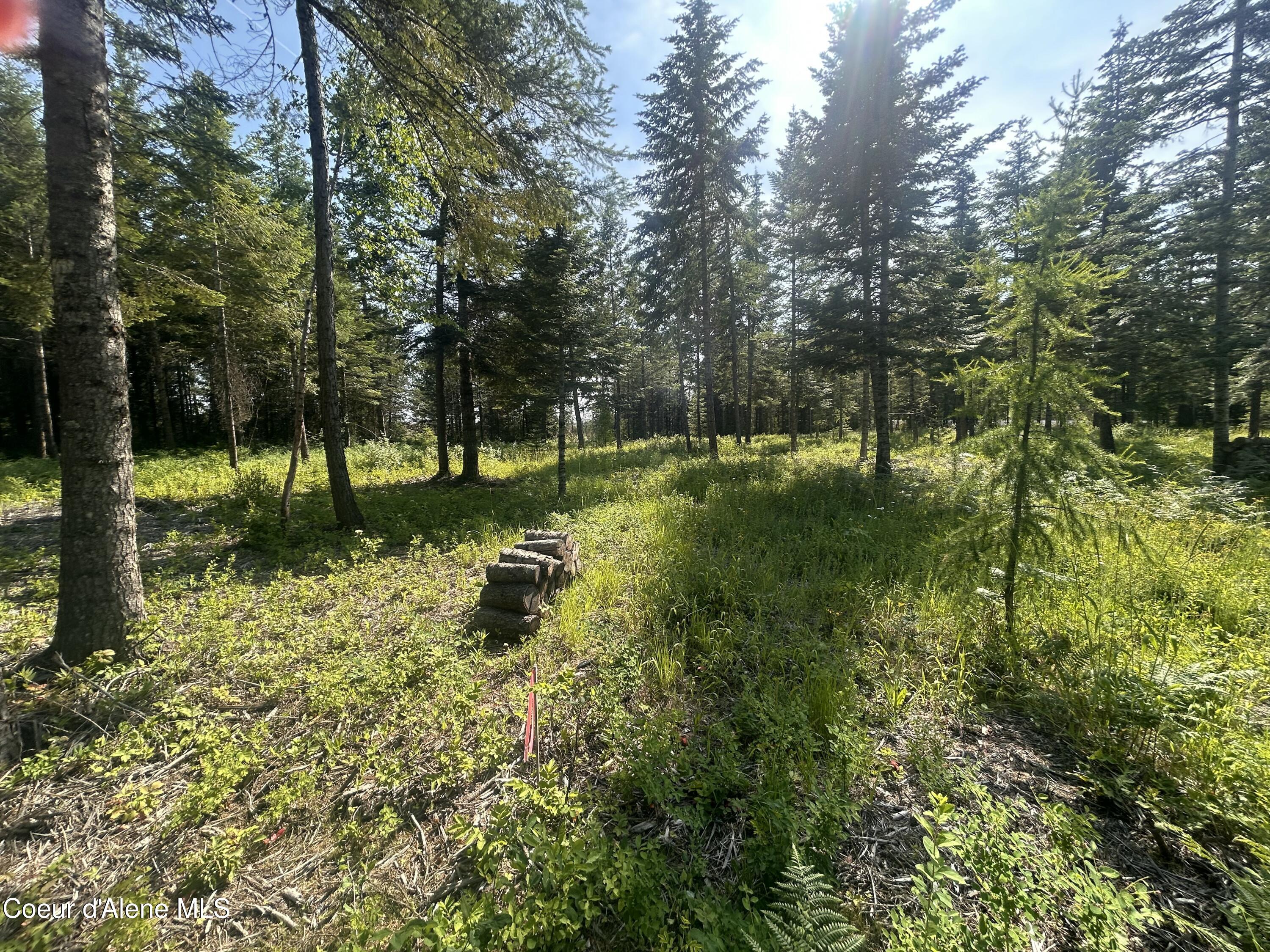 Nka Nka Lekstrum Rathdrum, ID 83858 - Photo 3 of 7 IMG_3394