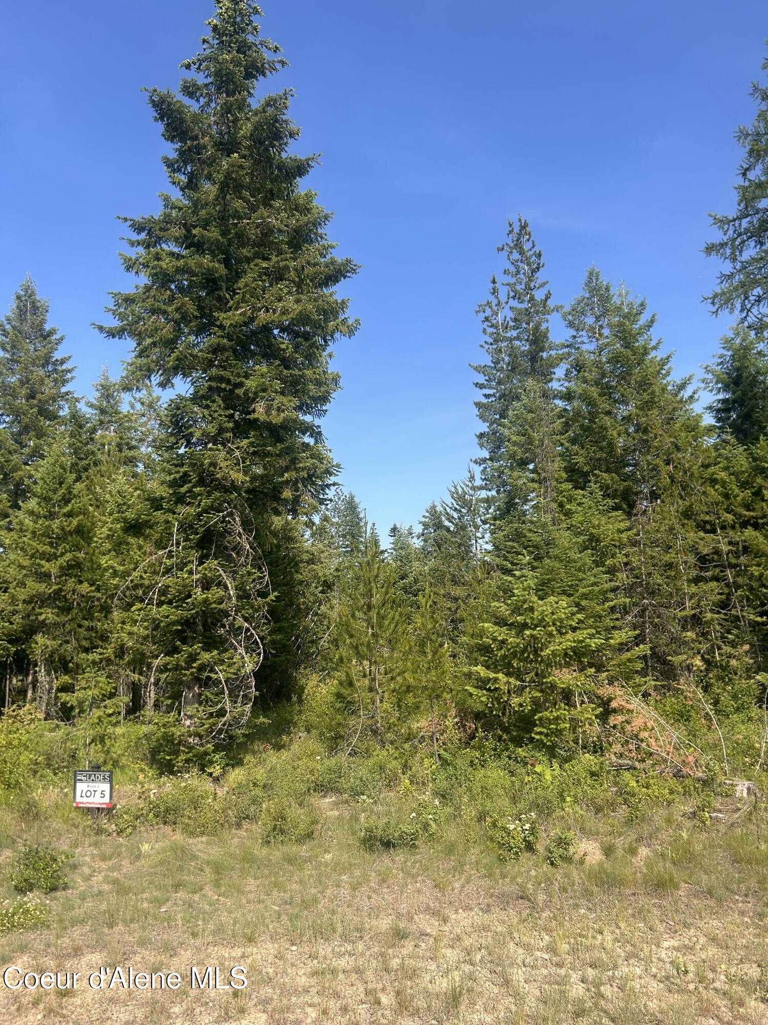 Nka Nka Lekstrum Rathdrum, ID 83858 - Photo 4 of 7 4