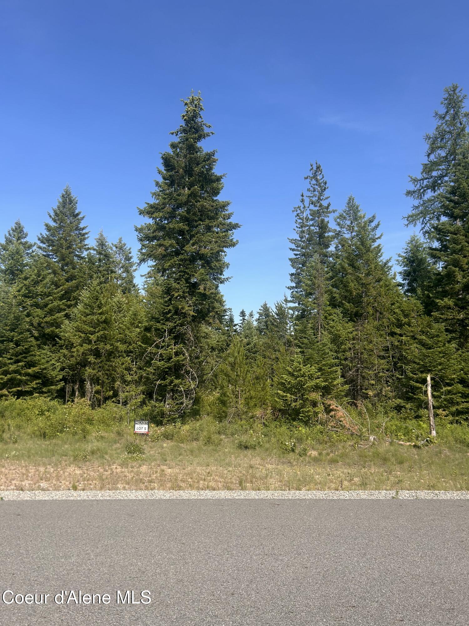 Nka Nka Lekstrum Rathdrum, ID 83858 - Photo 5 of 7 5