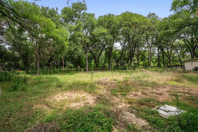 a view of outdoor space with trees all around