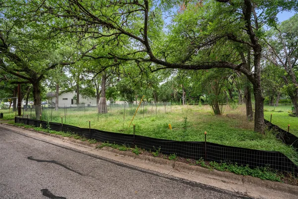 a view of a park with large trees
