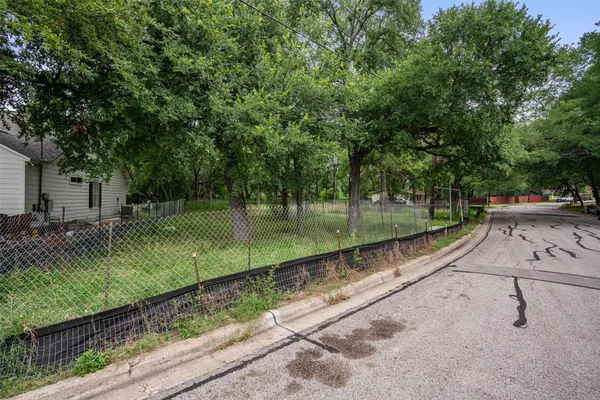 a view of a park with a tree