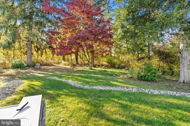 a view of yard with green space