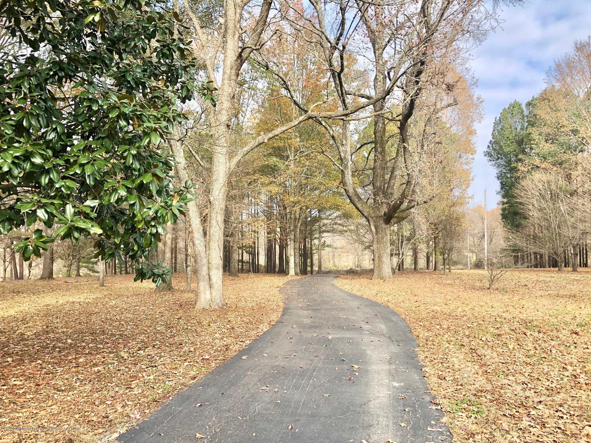 4825 Church Road Nesbit, MS 38651 - Photo 3 of 43 IMG_5924