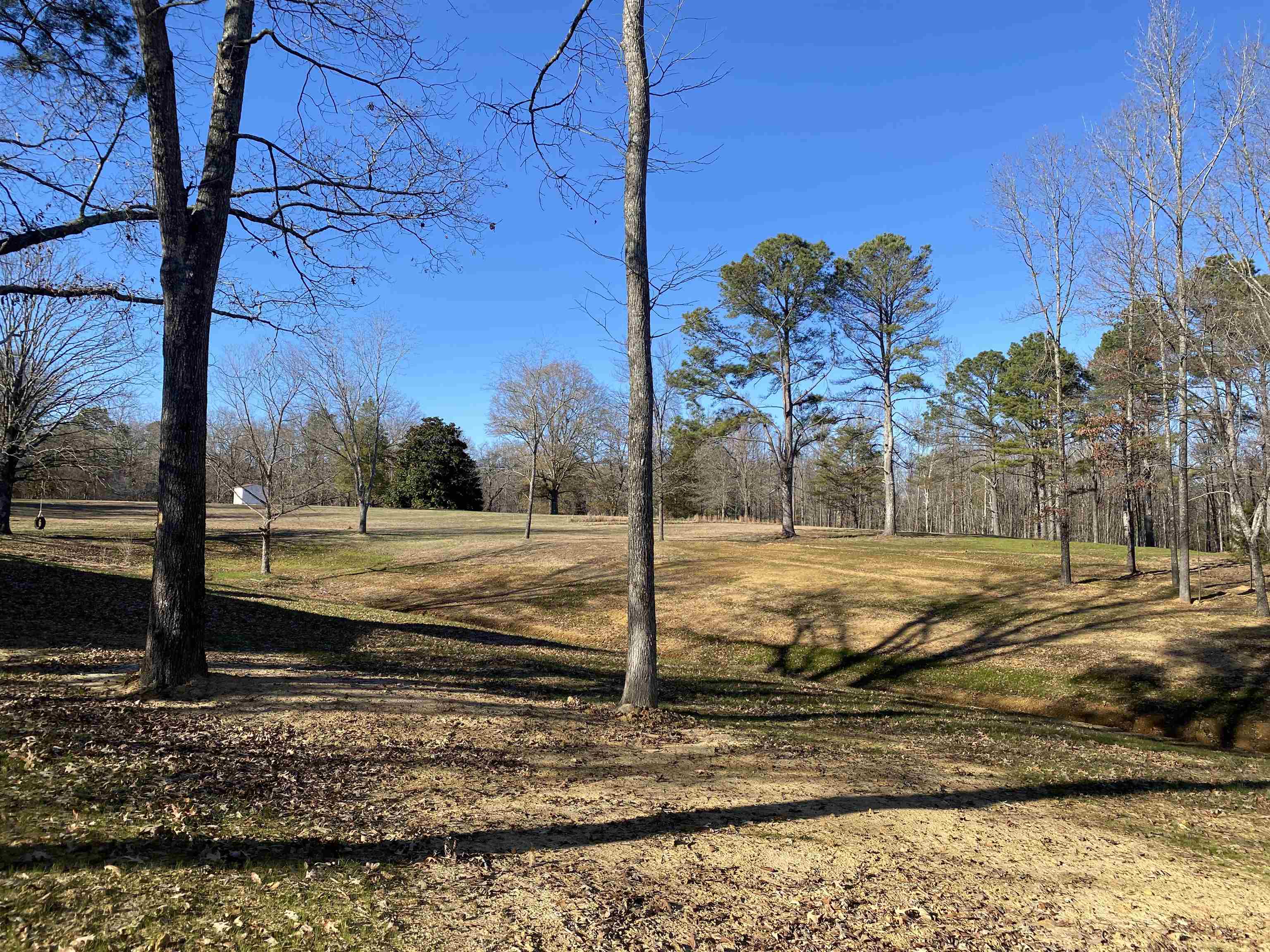 1120 Jot Em Down Road Morris Chapel, TN 38361 - Photo 14 of 40