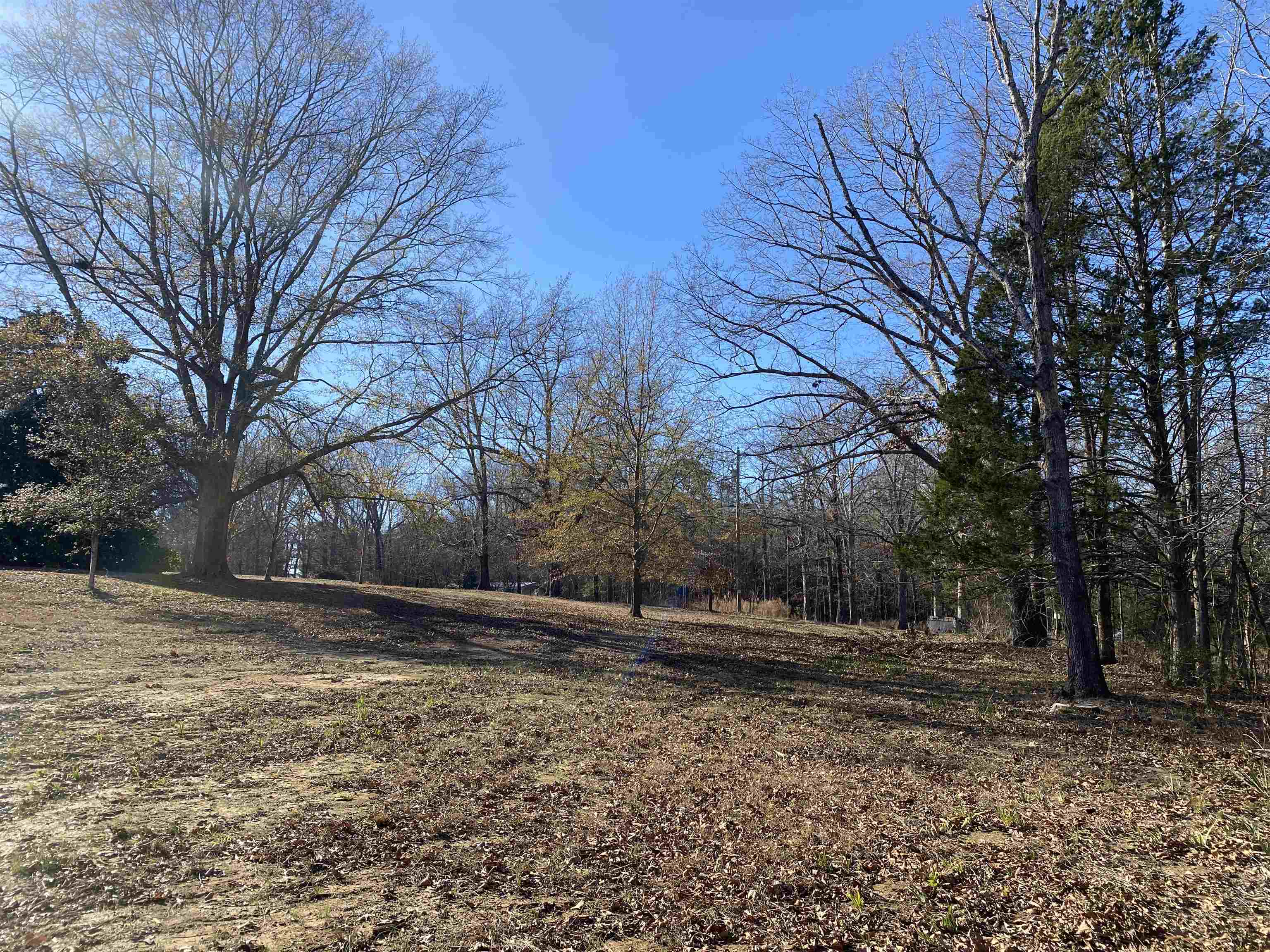 1120 Jot Em Down Road Morris Chapel, TN 38361 - Photo 2 of 40 a backyard of a house with lots of green space