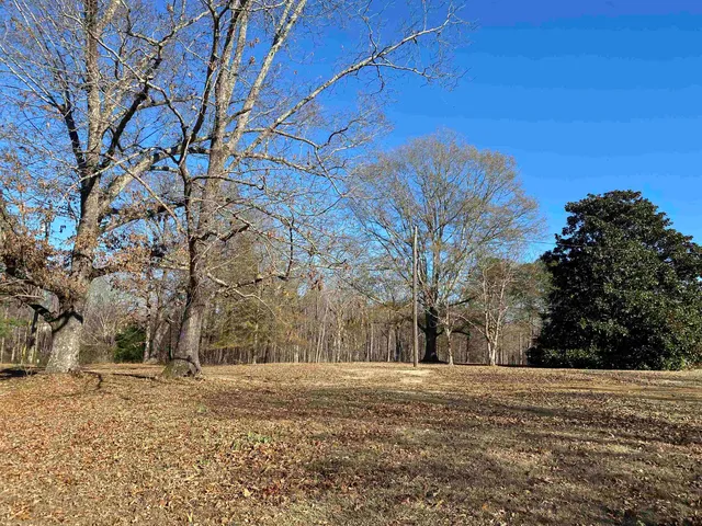 $449,000 | 1120 Jot Em Down Road, Morris Chapel, TN 38361