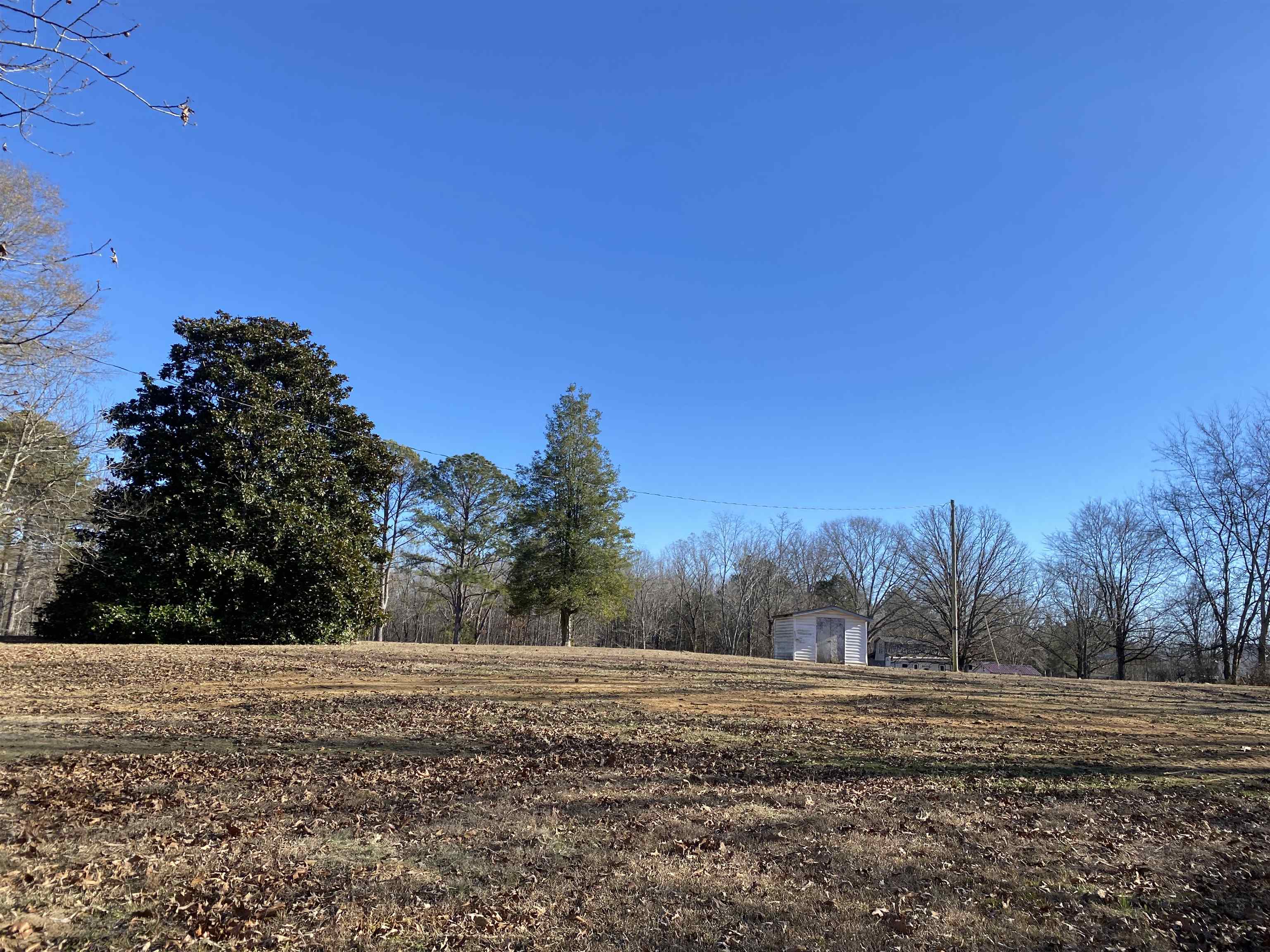 1120 Jot Em Down Road Morris Chapel, TN 38361 - Photo 24 of 40