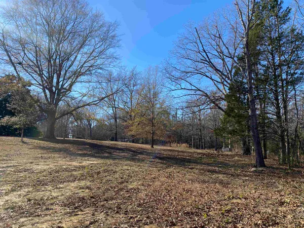 $425,000 | 1120 Jot Em Down Road, Morris Chapel, TN 38361