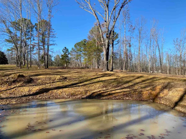 $425,000 | 1120 Jot Em Down Road, Morris Chapel, TN 38361