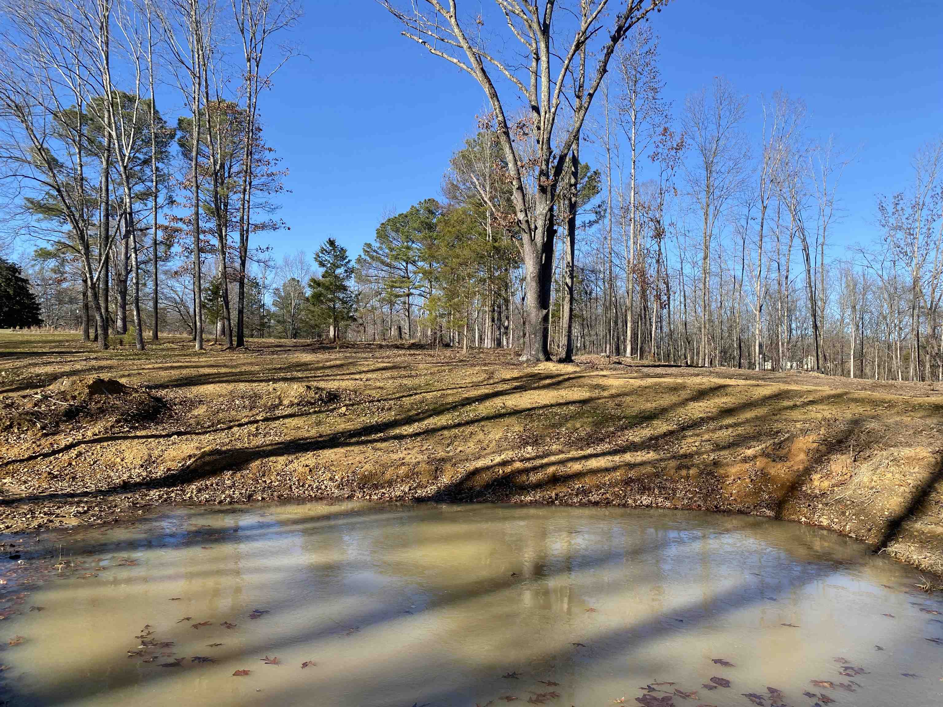 1120 Jot Em Down Road Morris Chapel, TN 38361 - Photo 26 of 40