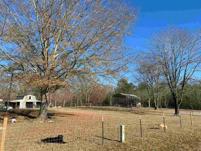 $449,000 | 1120 Jot Em Down Road, Morris Chapel, TN 38361