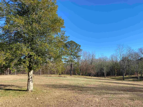 $425,000 | 1120 Jot Em Down Road, Morris Chapel, TN 38361