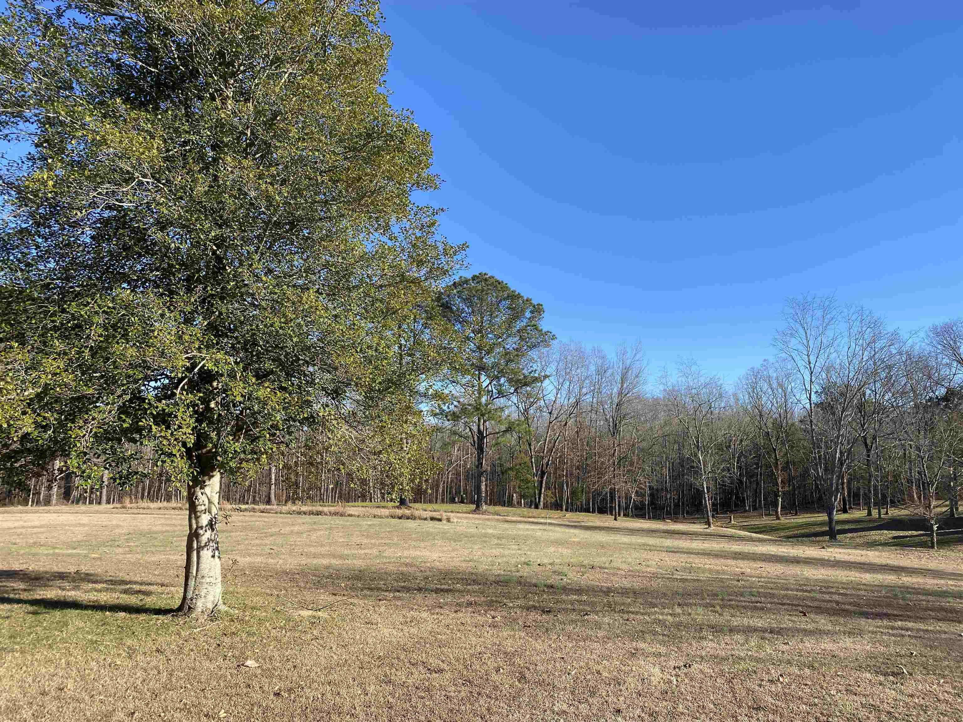 1120 Jot Em Down Road Morris Chapel, TN 38361 - Photo 36 of 40