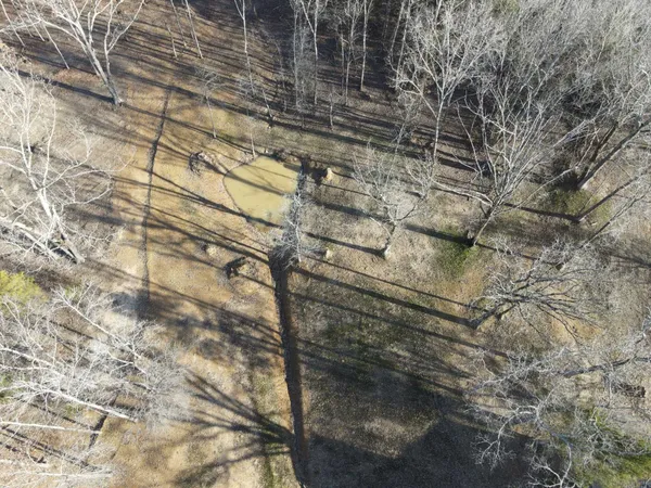 $425,000 | 1120 Jot Em Down Road, Morris Chapel, TN 38361