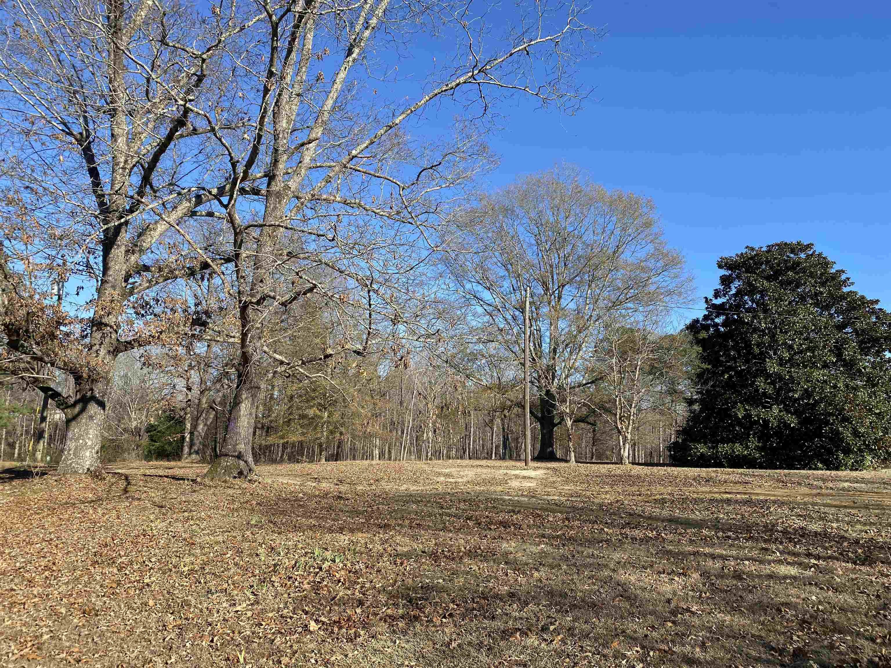 1120 Jot Em Down Road Morris Chapel, TN 38361 - Photo 40 of 40