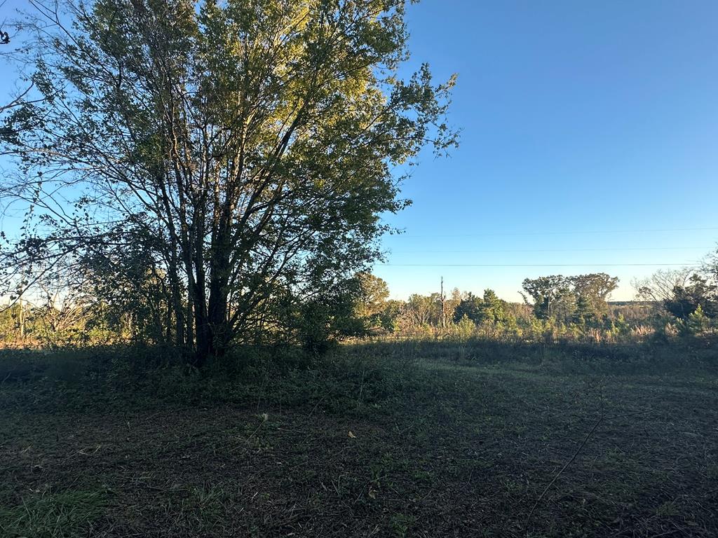 250 Adams Mill Road Clayton, AL 36016 - Photo 40 of 74