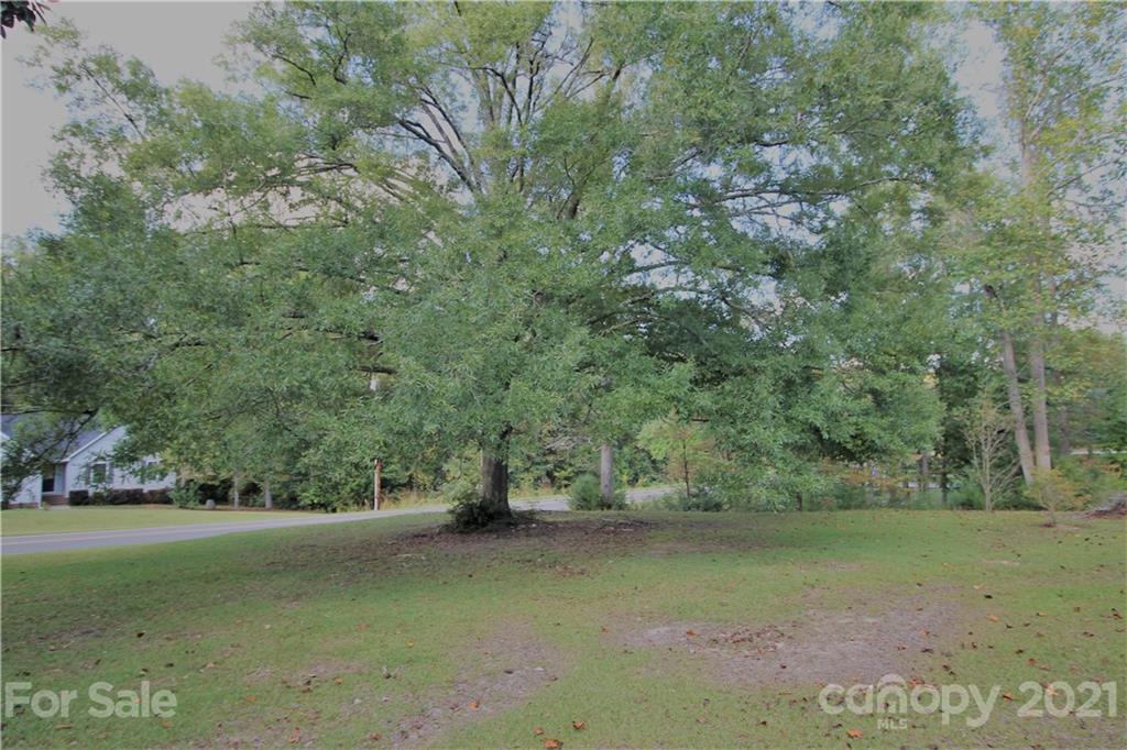 517 Rutledge Drive Catawba, SC 29704 - Photo 18 of 20 a view of dirt field with trees